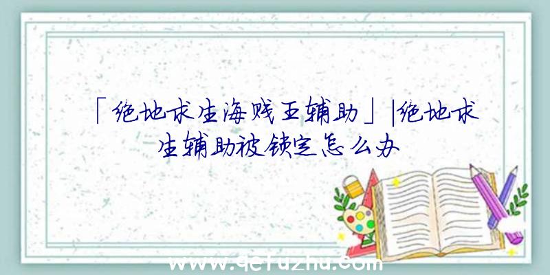 「绝地求生海贱王辅助」|绝地求生辅助被锁定怎么办